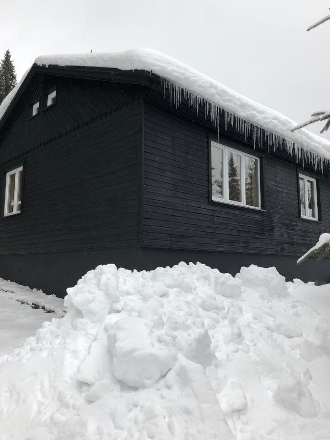 Nordik 1496 Lejlighed Vysoké Tatry Eksteriør billede